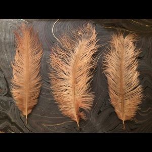 220 Assorted Ostrich Feathers Drabs & Plumes